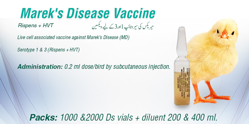 Marek's Disease vaccine!