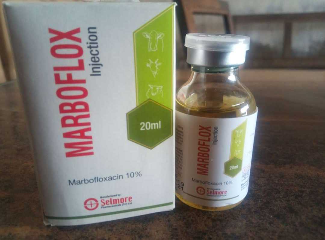 MARBOFLOX-injection!