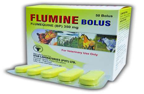 Flumine Bolus 50!