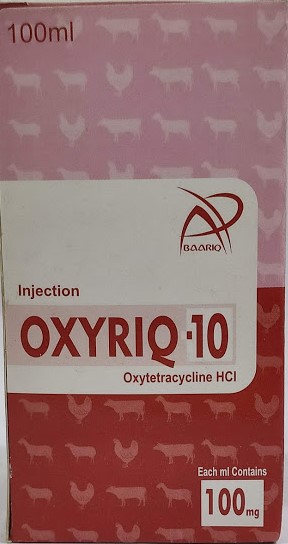 Oxyriq 10!