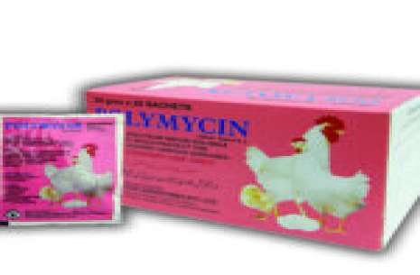 Polymycin Powder – 28 gram!