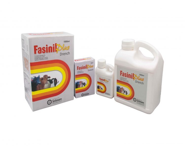 Fasinil Plus!