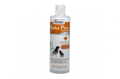 Sulfur Plus Shampoo!