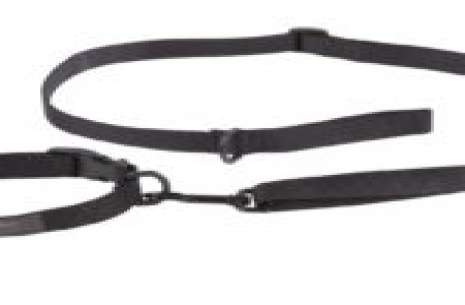Dog Leash With Coller!