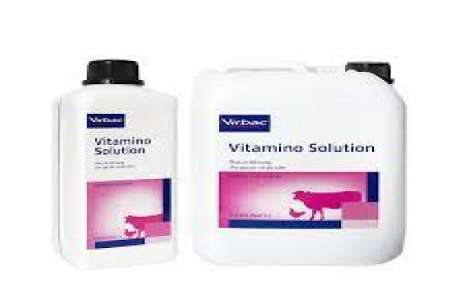 Vitamino Solution!