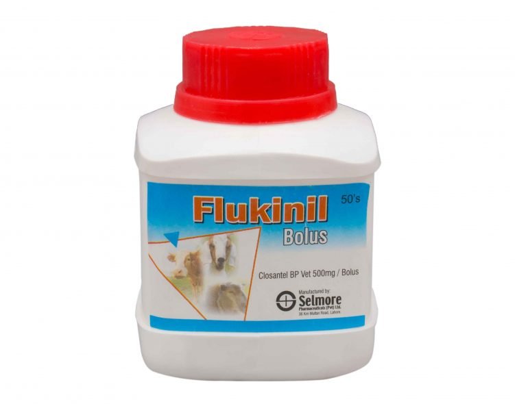 Flukinil!