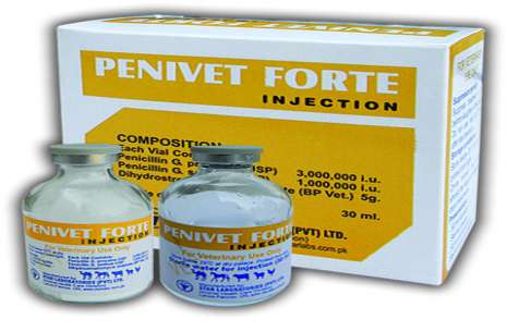 Penivet Forte Injection – 50ml!