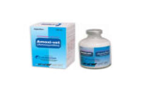 Amoxi-vet / Injection (ICI) 50 ml!