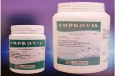 Amprovil – Powder 500 gm!