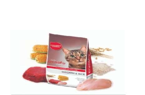 Crunchy cat on sale food