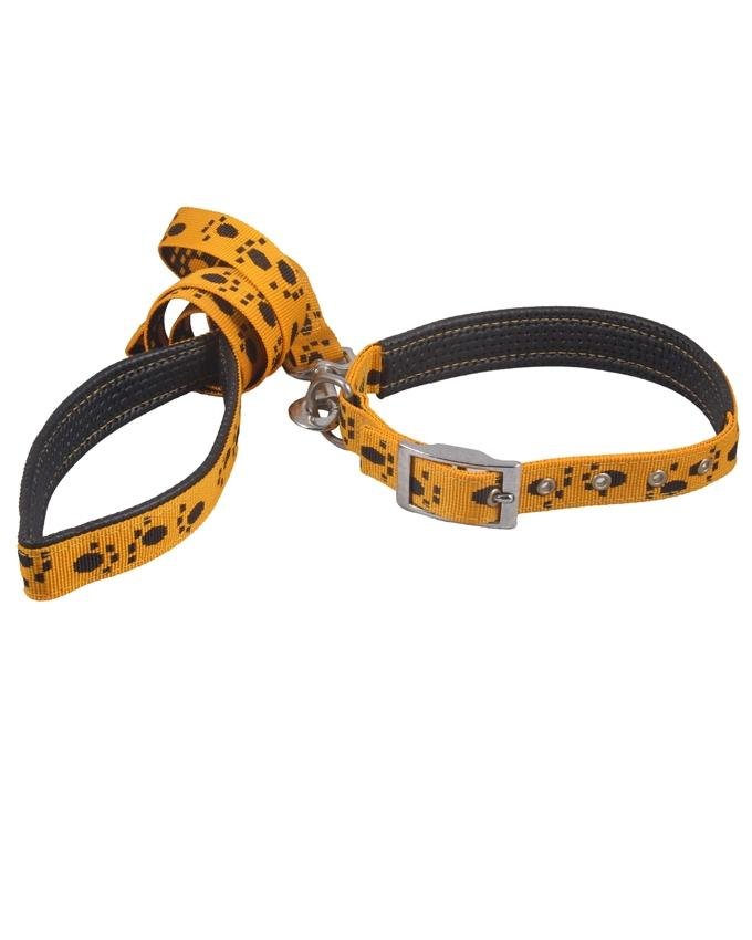 dog collar yellow!