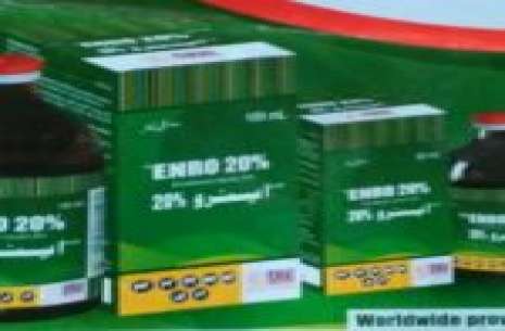 Enro 20% Injection - 100ml!