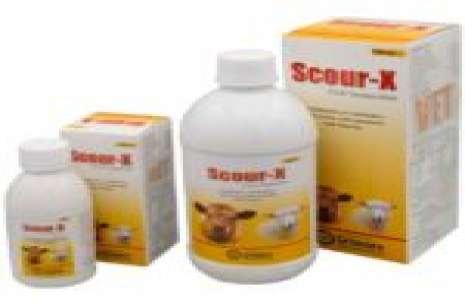 Scour-X Oral Suspension – (Syp) 500 ml!