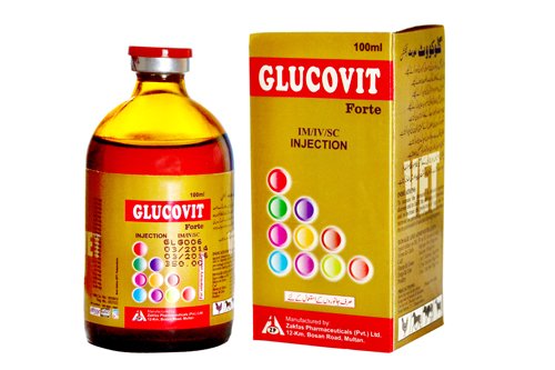 GLUCOVIT FORTE!