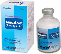 Amcolox Injection (50ml)!