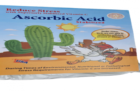 Ascorbic Acid!