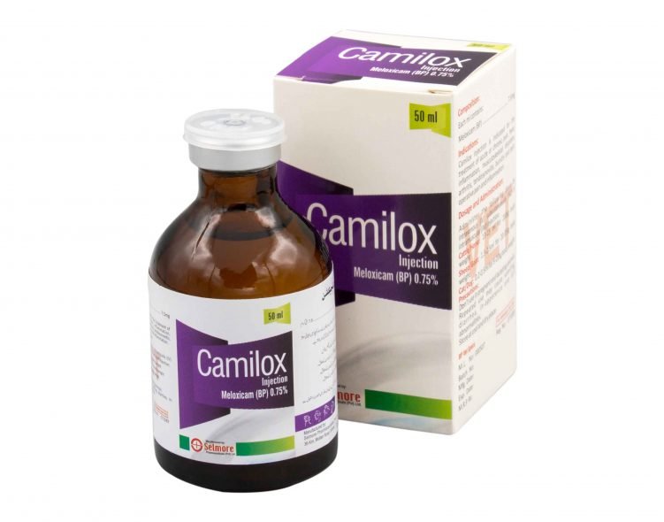 Camilox injection!