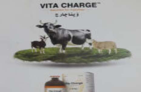 Vita Charge Injection – 50ml!