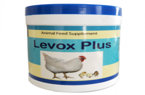 LEVOXPLUS ORAL SUSPENSION!