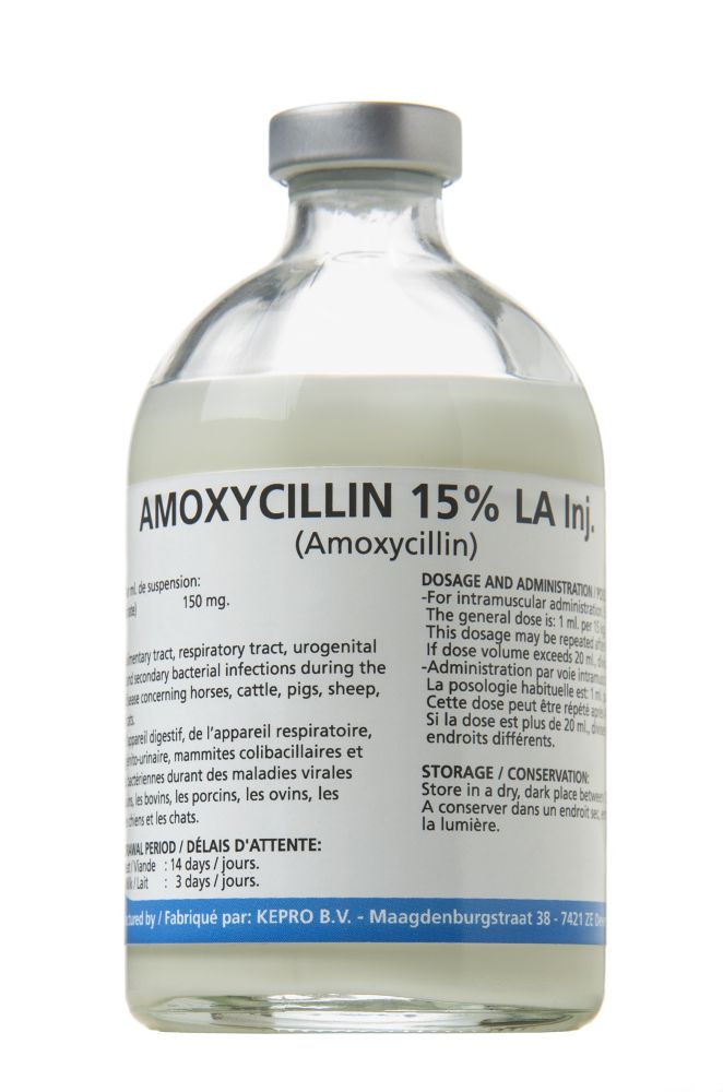 AMOXYCILLIN 15% LA!