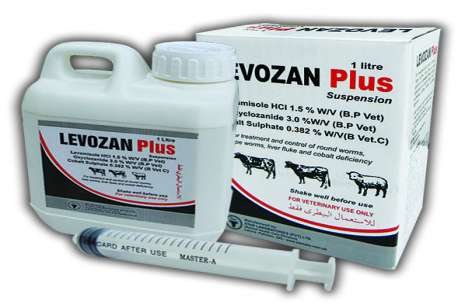 Levozan Plus Suspension 300 ml!