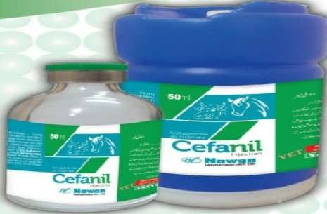 Cefanil Injection!