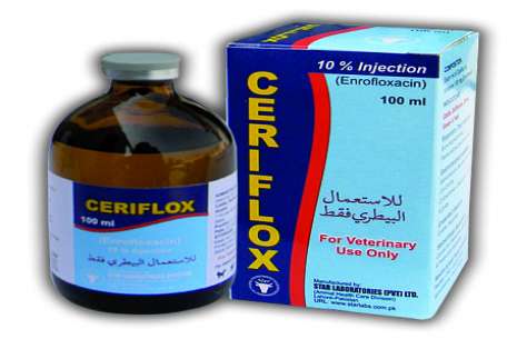 Ceriflox 10% 50 ml Injection!