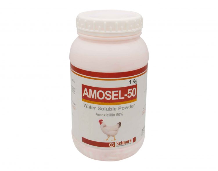Amosel-50 Oral Dry Powder!