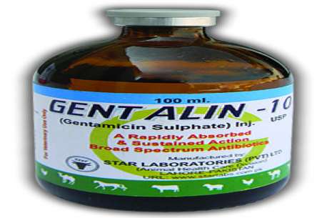 Gentalin-10 Injection 50 ml!