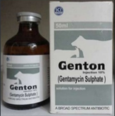 Genton injection 100 ml!