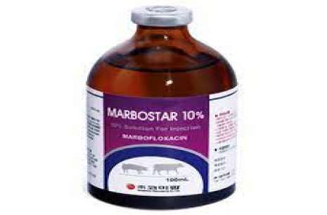 Marbo Star Injection 10%!