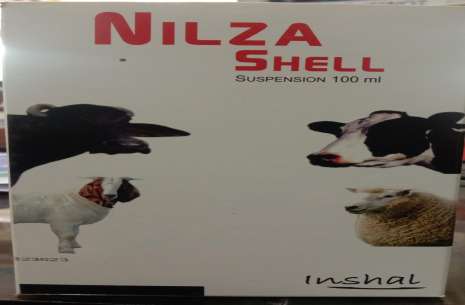 Nilza Shell!