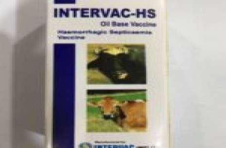 Hs Oil Base 30ml (intervac)10dos!