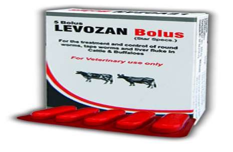 Levozan Bolus!