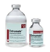 Estrumate injection!