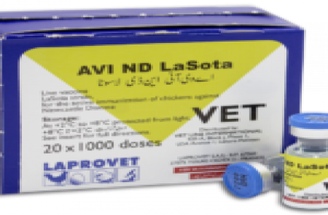 Lasota 1000dos (laprovet)!