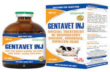 Gentavet Injection 4% (100 ML)!