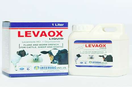 LEVAOX (LIQUID)!