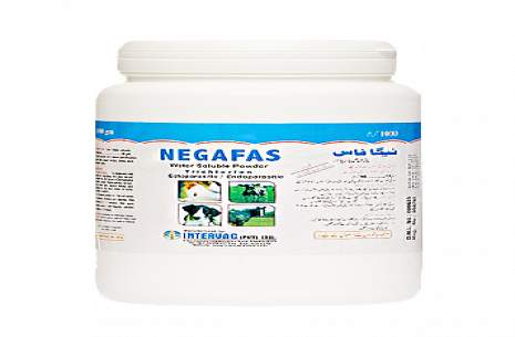 Negafas Powder!