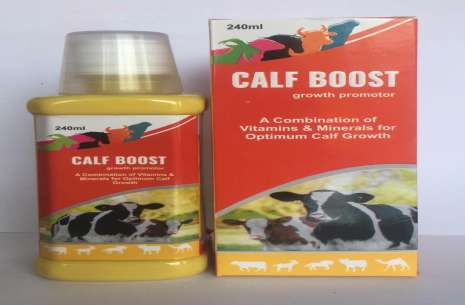 Calf Boost!