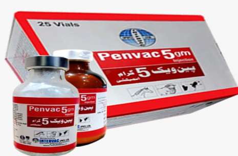 penvac 5gm injection!