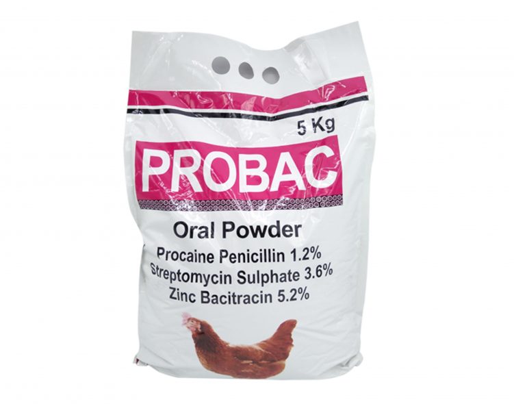 probac oral powder!