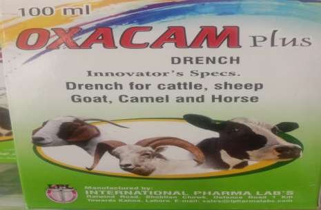 Oxacam!