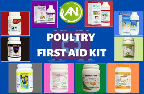 Poultry First Aid Kit!