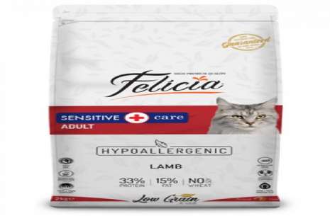Felicia Low Grain Adult Cat Food With Lamb!