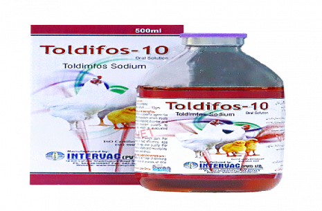 TOLDIFAS-10 ORAL SOLUTION!