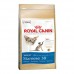 Royal Canin Adult Siamese Cat Food - 2kg!