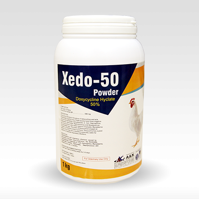 XEDO-50!