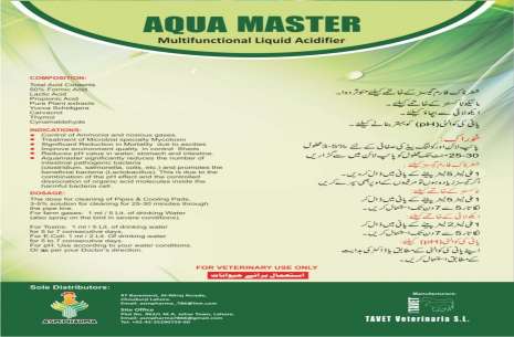 Aqua Master!