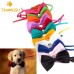 15 Candy Colors Fashion Cute Dog Puppy Cat Kitten !